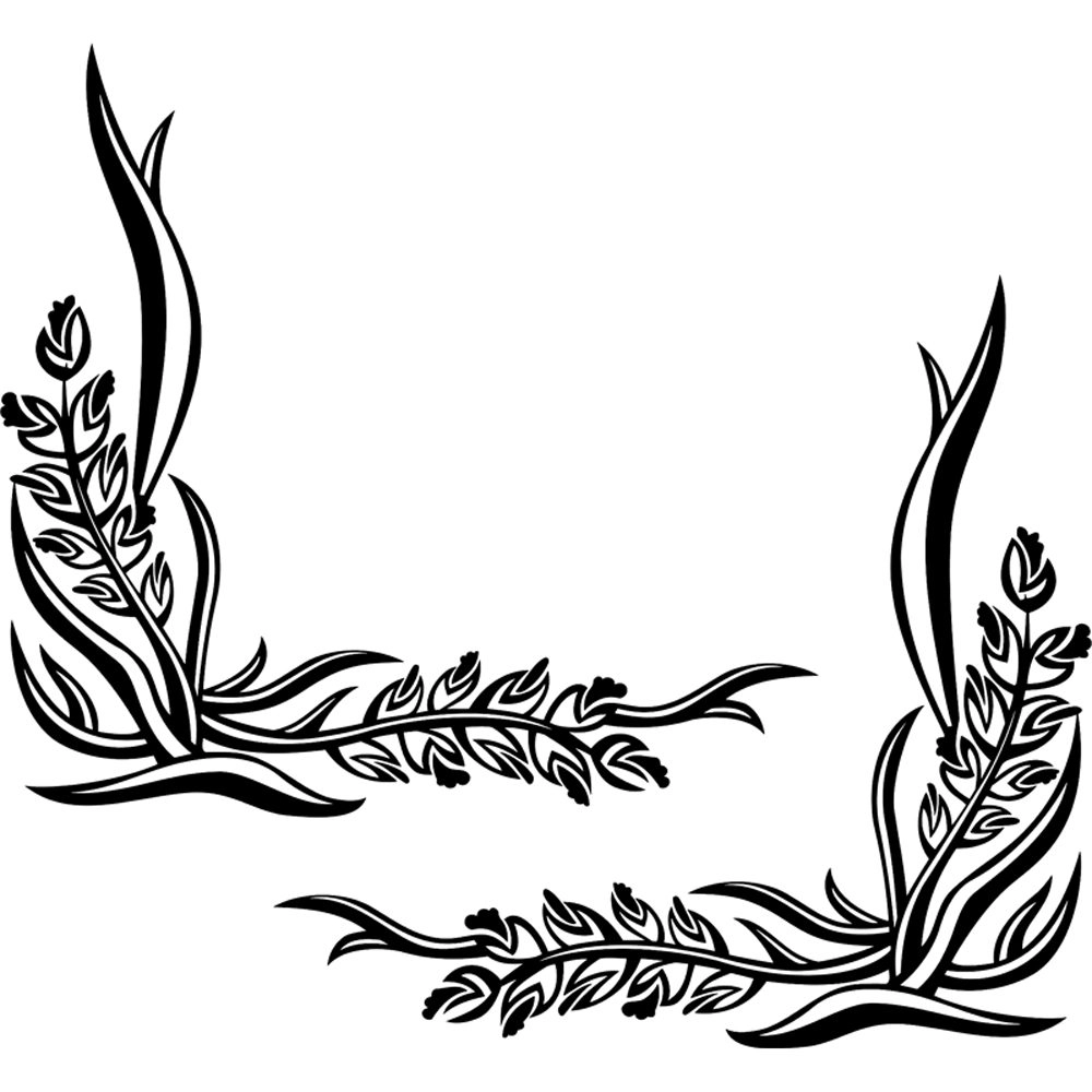 scania-black-299-final